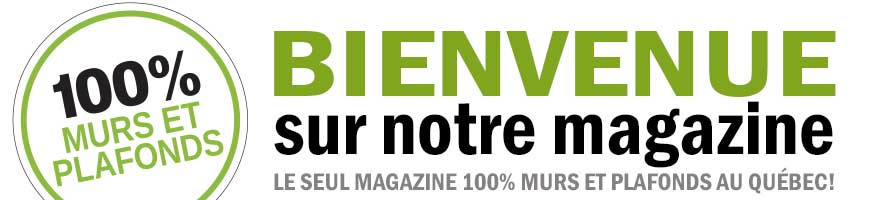 magazine-100-mur-plafond
